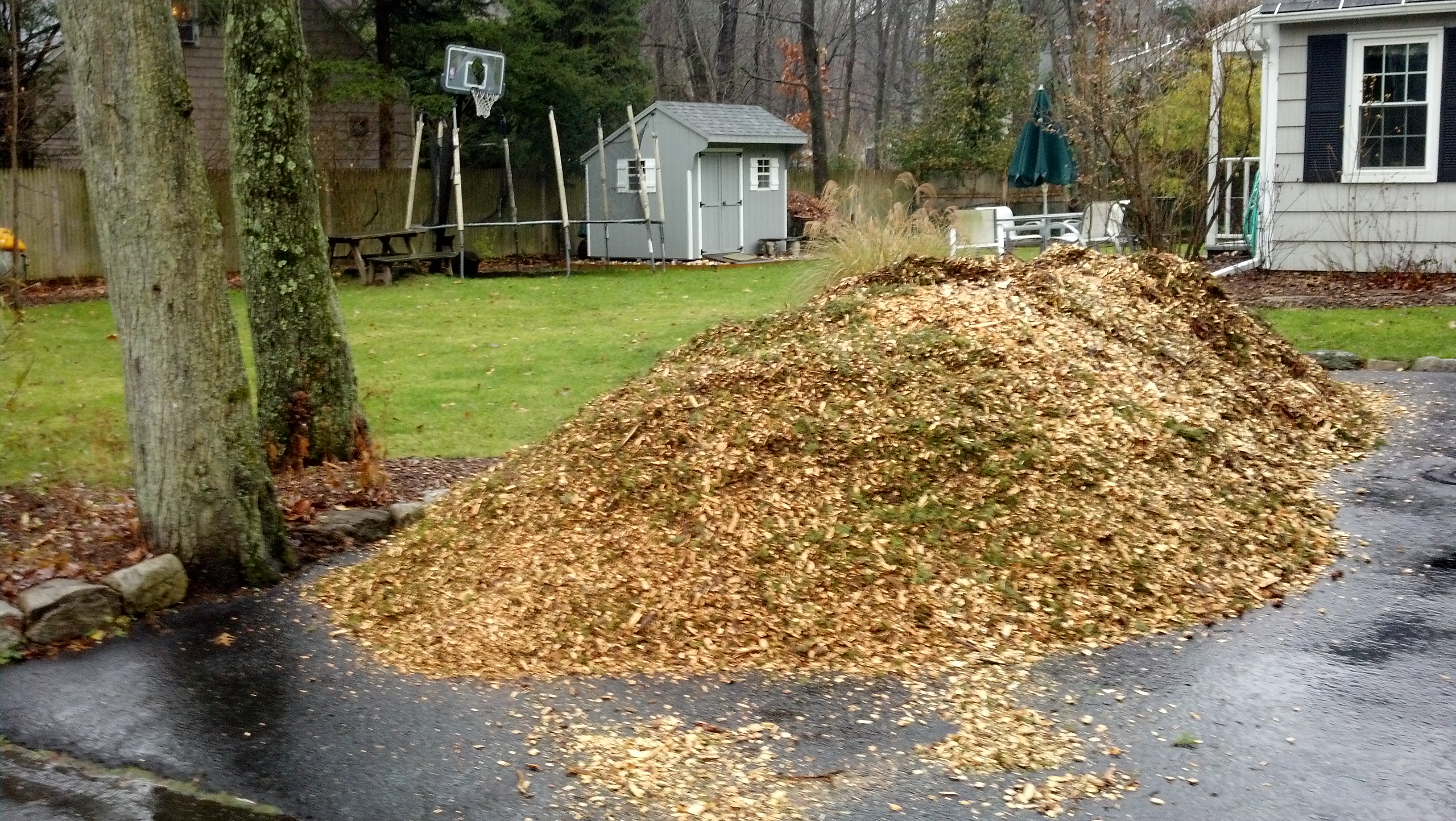 Image of Pile of cheap wood chips in backyard